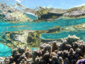   barrier reef Bora sony cybershot T5  